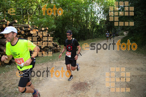 Esportfoto Fotos de Trail Fonts del Montseny - Viladrau - 2015 1436105590_135.jpg Foto: David Fajula