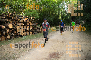 Esportfoto Fotos de Trail Fonts del Montseny - Viladrau - 2015 1436105648_159.jpg Foto: David Fajula