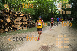 Esportfoto Fotos de Trail Fonts del Montseny - Viladrau - 2015 1436105994_303.jpg Foto: David Fajula