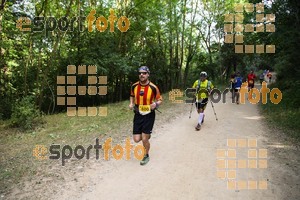 Esportfoto Fotos de Trail Fonts del Montseny - Viladrau - 2015 1436106655_504.jpg Foto: David Fajula