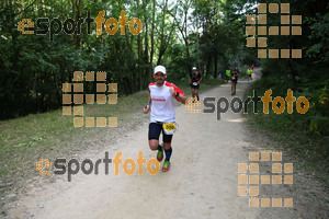 Esportfoto Fotos de Trail Fonts del Montseny - Viladrau - 2015 1436107505_526.jpg Foto: David Fajula