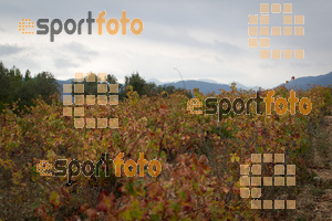 Esportfoto Fotos de UT de la Serra de Montsant 2015 1445191060_2394.jpg Foto: RawSport