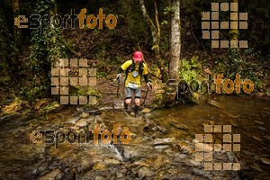 Esportfoto Fotos de 20a Cursa Vall del Congost 2016 - Marató i Mitja Marató 1458495121_7122.jpg Foto: 