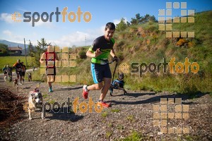 Esportfoto Fotos de Canicross Batega al Bac 2017 1495373429_00133.jpg Foto: David Fajula