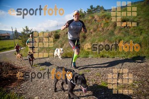 Esportfoto Fotos de Canicross Batega al Bac 2017 1495373438_00137.jpg Foto: David Fajula