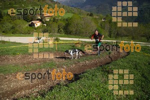 Esportfoto Fotos de Canicross Batega al Bac 2017 1495374688_00178.jpg Foto: David Fajula