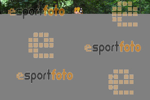 Esportfoto Fotos de La Setdellonga - Marató i Mitja Marató de Muntanya 2017 1499001776_00051.jpg Foto: David Fajula