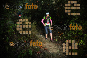 Esportfoto Fotos de Gran Trail Collserola (GTC) - Barcelona Trail Races 2018 1543076072_7288.jpg Foto: 