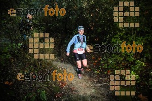 Esportfoto Fotos de Gran Trail Collserola (GTC) - Barcelona Trail Races 2018 1543076643_7653.jpg Foto: 