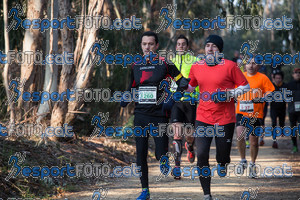 Esportfoto Fotos de Mitja Marató de les Vies Verdes 2013 (MD) 1361733777_5210.jpg Foto: Jordi Borràs