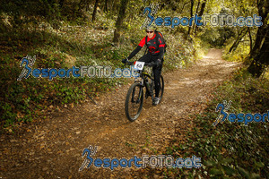 Esportfoto Fotos de VolcanoLimits Bike 2013 1384109175_4635.jpg Foto: 