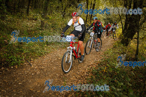 Esportfoto Fotos de VolcanoLimits Bike 2013 1384113561_4438.jpg Foto: 