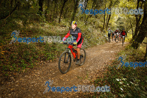 Esportfoto Fotos de VolcanoLimits Bike 2013 1384113606_4464.jpg Foto: 