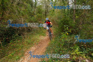 Esportfoto Fotos de VolcanoLimits Bike 2013 1384117263_01076.jpg Foto: David Fajula