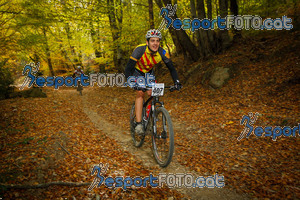 Esportfoto Fotos de VolcanoLimits Bike 2013 1384125685_4735.jpg Foto: 