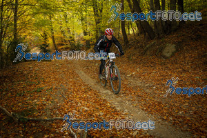 Esportfoto Fotos de VolcanoLimits Bike 2013 1384125688_4737.jpg Foto: 