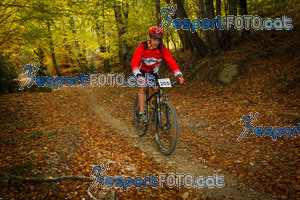 Esportfoto Fotos de VolcanoLimits Bike 2013 1384125699_4743.jpg Foto: 