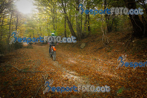 Esportfoto Fotos de VolcanoLimits Bike 2013 1384126344_4649.jpg Foto: 