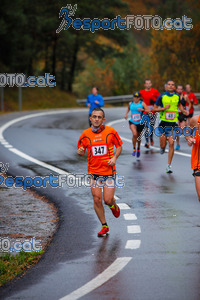 Esportfoto Fotos de XXXV Campionat Internacional d'Atletisme de Fons del Ripollès  (Mitja Marató) 1384708627_01923.jpg Foto: David Fajula