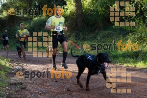 Esportfoto Fotos de II Mitja Marato de Muntanya i Canicross Eramprunyà 1391364262_BX0C0241.jpg Foto: RawSport