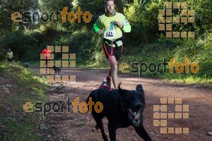 Esportfoto Fotos de II Mitja Marato de Muntanya i Canicross Eramprunyà 1391364276_BX0C0248.jpg Foto: RawSport