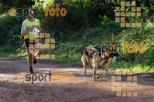 Esportfoto Fotos de II Mitja Marato de Muntanya i Canicross Eramprunyà 1391364292_BX0C0255.jpg Foto: RawSport
