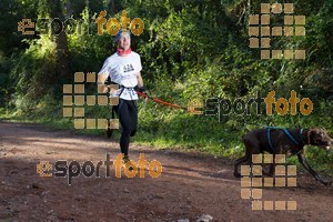 Esportfoto Fotos de II Mitja Marato de Muntanya i Canicross Eramprunyà 1391364327_BX0C0272.jpg Foto: RawSport