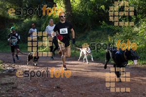 Esportfoto Fotos de II Mitja Marato de Muntanya i Canicross Eramprunyà 1391364330_BX0C0273.jpg Foto: RawSport