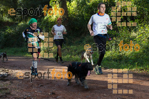 Esportfoto Fotos de II Mitja Marato de Muntanya i Canicross Eramprunyà 1391364334_BX0C0275.jpg Foto: RawSport