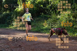 Esportfoto Fotos de II Mitja Marato de Muntanya i Canicross Eramprunyà 1391364348_BX0C0281.jpg Foto: RawSport