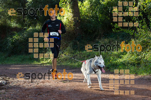 Esportfoto Fotos de II Mitja Marato de Muntanya i Canicross Eramprunyà 1391364389_BX0C0298.jpg Foto: RawSport