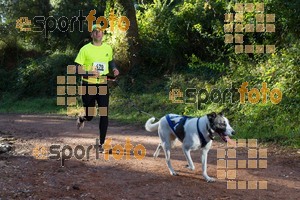 Esportfoto Fotos de II Mitja Marato de Muntanya i Canicross Eramprunyà 1391364410_BX0C0309.jpg Foto: RawSport