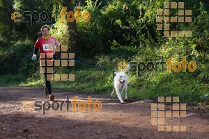 Esportfoto Fotos de II Mitja Marato de Muntanya i Canicross Eramprunyà 1391364426_BX0C0317.jpg Foto: RawSport