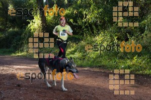 Esportfoto Fotos de II Mitja Marato de Muntanya i Canicross Eramprunyà 1391364453_BX0C0331.jpg Foto: RawSport