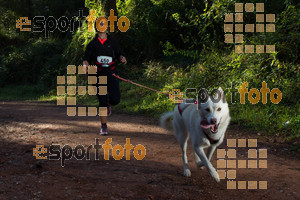 Esportfoto Fotos de II Mitja Marato de Muntanya i Canicross Eramprunyà 1391364467_BX0C0337.jpg Foto: RawSport