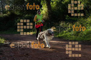Esportfoto Fotos de II Mitja Marato de Muntanya i Canicross Eramprunyà 1391364472_BX0C0339.jpg Foto: RawSport