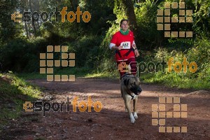 Esportfoto Fotos de II Mitja Marato de Muntanya i Canicross Eramprunyà 1391364479_BX0C0343.jpg Foto: RawSport