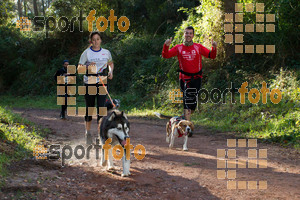 Esportfoto Fotos de II Mitja Marato de Muntanya i Canicross Eramprunyà 1391364491_BX0C0348.jpg Foto: RawSport