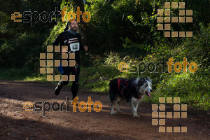 Esportfoto Fotos de II Mitja Marato de Muntanya i Canicross Eramprunyà 1391364504_BX0C0355.jpg Foto: RawSport