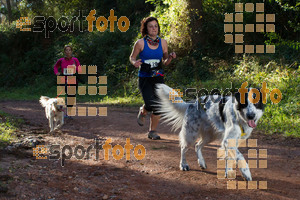 Esportfoto Fotos de II Mitja Marato de Muntanya i Canicross Eramprunyà 1391364515_BX0C0360.jpg Foto: RawSport