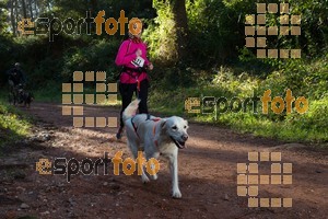 Esportfoto Fotos de II Mitja Marato de Muntanya i Canicross Eramprunyà 1391364524_BX0C0364.jpg Foto: RawSport
