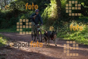 Esportfoto Fotos de II Mitja Marato de Muntanya i Canicross Eramprunyà 1391364534_BX0C0368.jpg Foto: RawSport