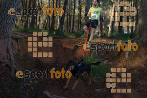 Esportfoto Fotos de II Mitja Marato de Muntanya i Canicross Eramprunyà 1391364567_BX0C0382.jpg Foto: RawSport