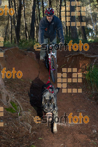Esportfoto Fotos de II Mitja Marato de Muntanya i Canicross Eramprunyà 1391364829_BX0C0549.jpg Foto: RawSport