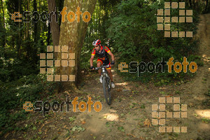 Esportfoto Fotos de Montseny Extrem 2014 1404650727_15997.jpg Foto: David Fajula