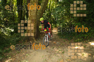 Esportfoto Fotos de Montseny Extrem 2014 1404666048_16135.jpg Foto: David Fajula