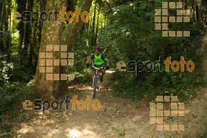 Esportfoto Fotos de Montseny Extrem 2014 1404671437_16330.jpg Foto: David Fajula