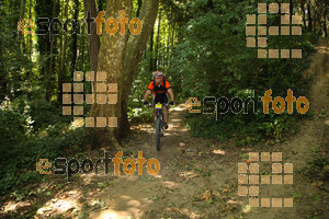 Esportfoto Fotos de Montseny Extrem 2014 1404671456_16338.jpg Foto: David Fajula