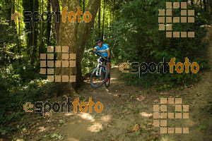 Esportfoto Fotos de Montseny Extrem 2014 1404672333_16365.jpg Foto: David Fajula