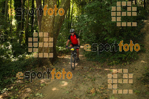 Esportfoto Fotos de Montseny Extrem 2014 1404673235_16388.jpg Foto: David Fajula